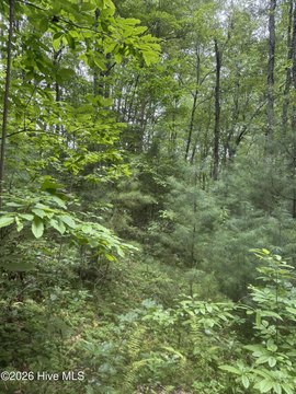 Land, Murphy, NC