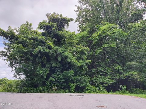 Secluded Lot in Easley Estates