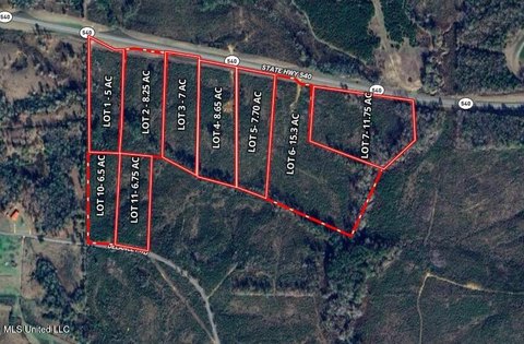 Land in Braxton, Mississippi