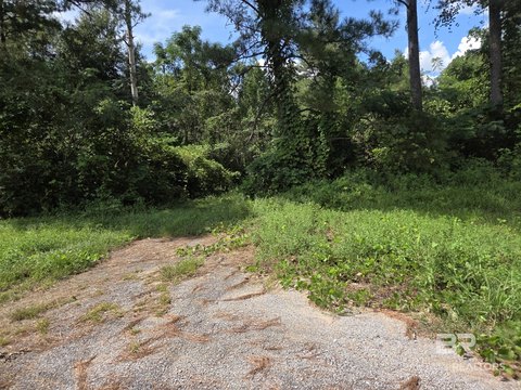 Land, Century, FL