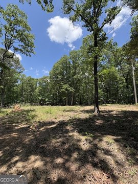 LAND - Tallapoosa, GA