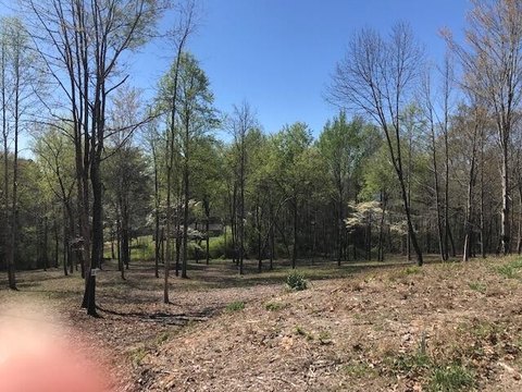 Residential Lot in Piney Knob