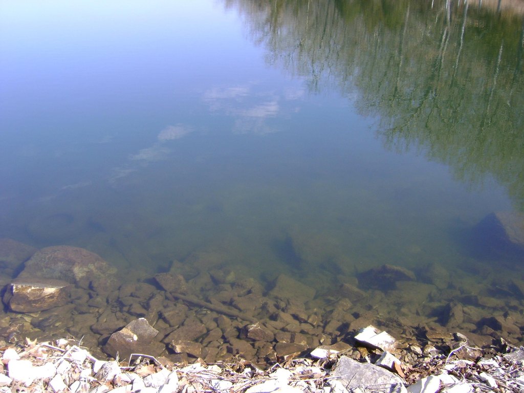 Picture 5