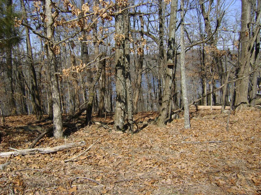 Picture 18