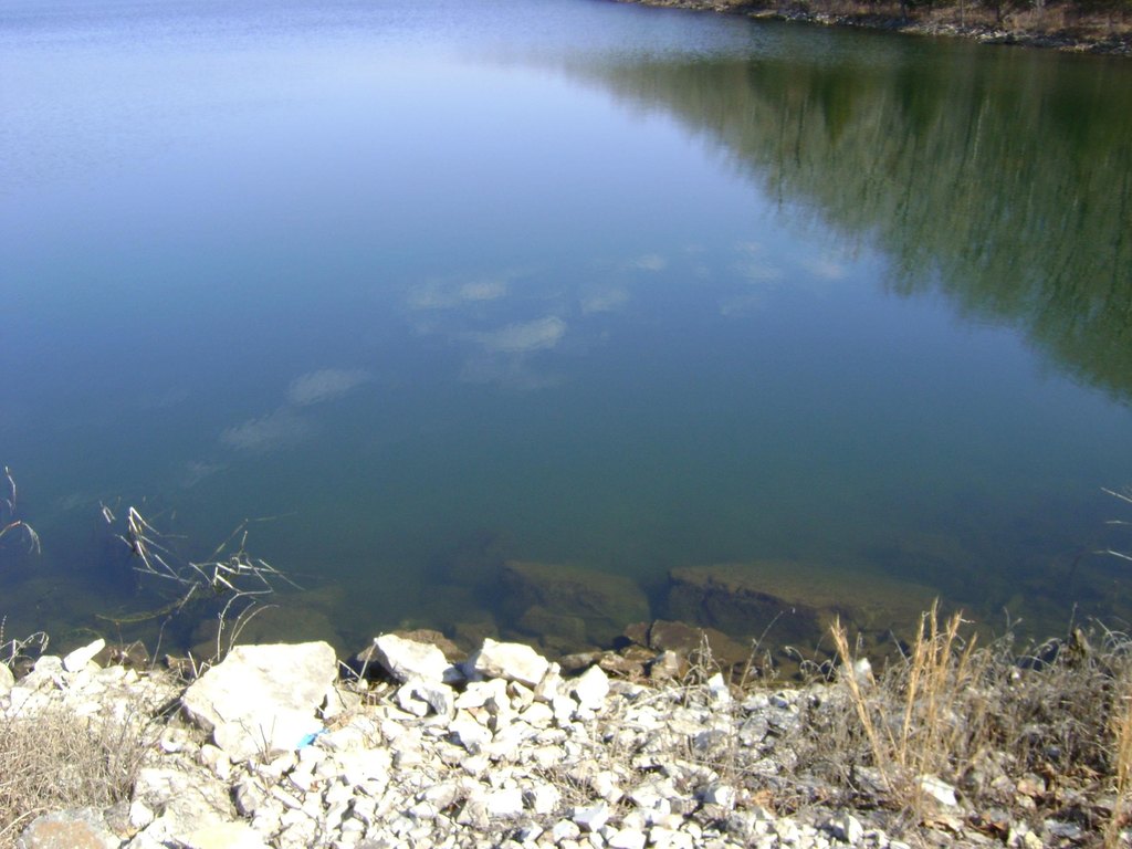 Picture 8