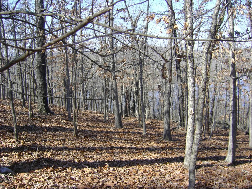 Picture 11