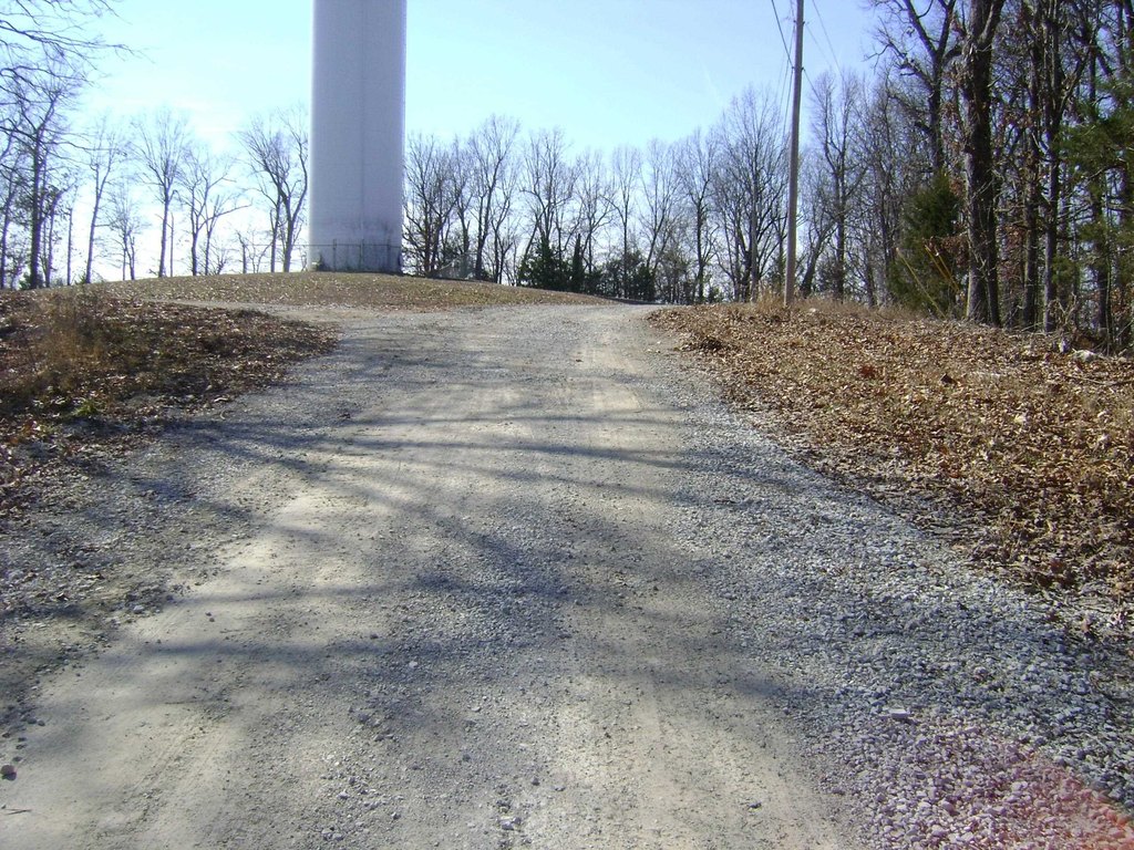 Picture 17