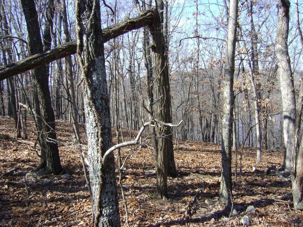 Picture 9