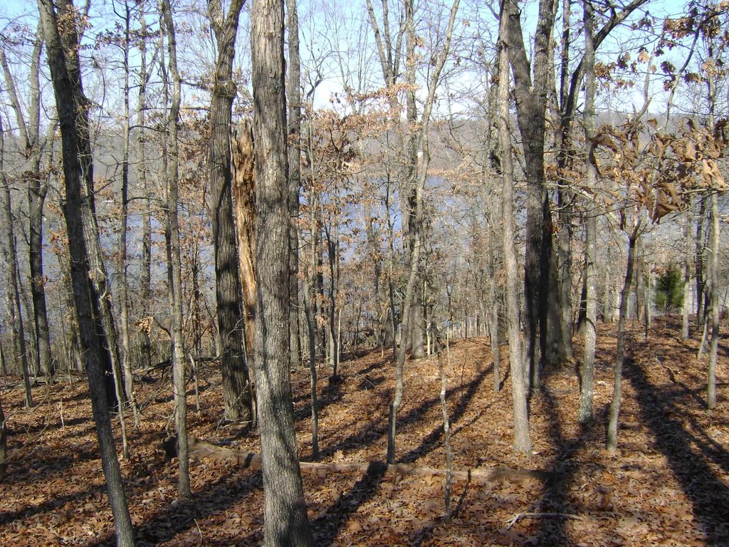 Picture 13
