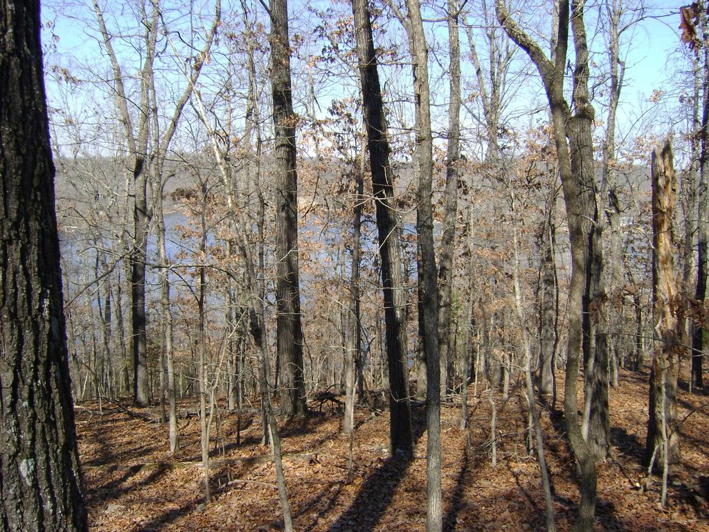 Picture 15