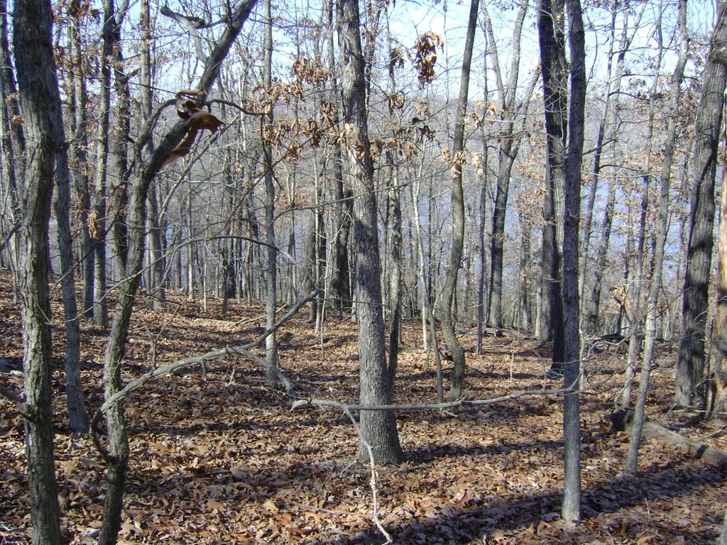 Picture 14