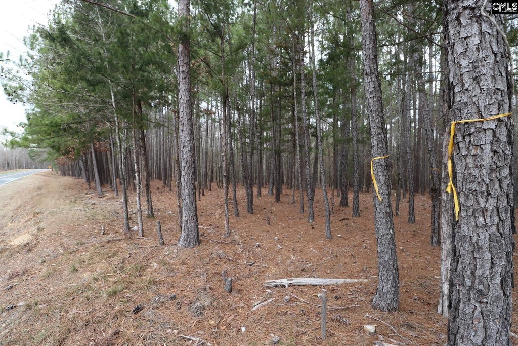 Picture 42