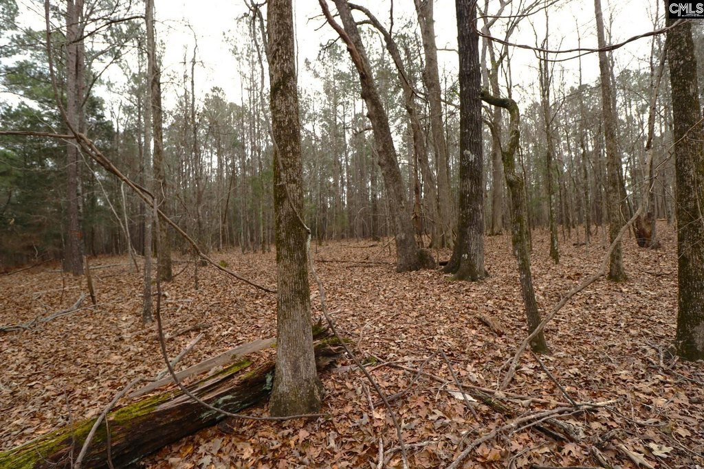 Picture 47