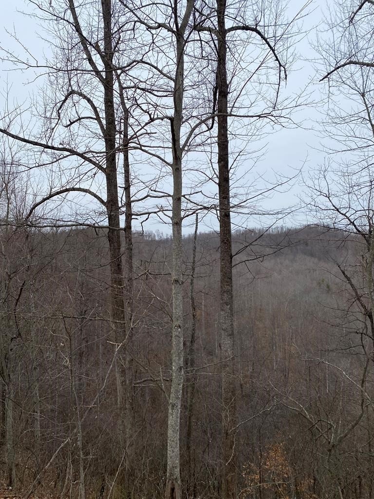 Salyersville Land for Recreation
