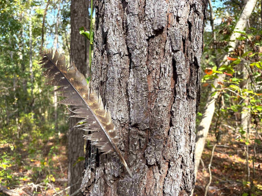 Picture 8