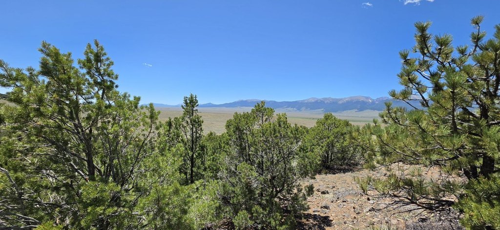 Picture 32