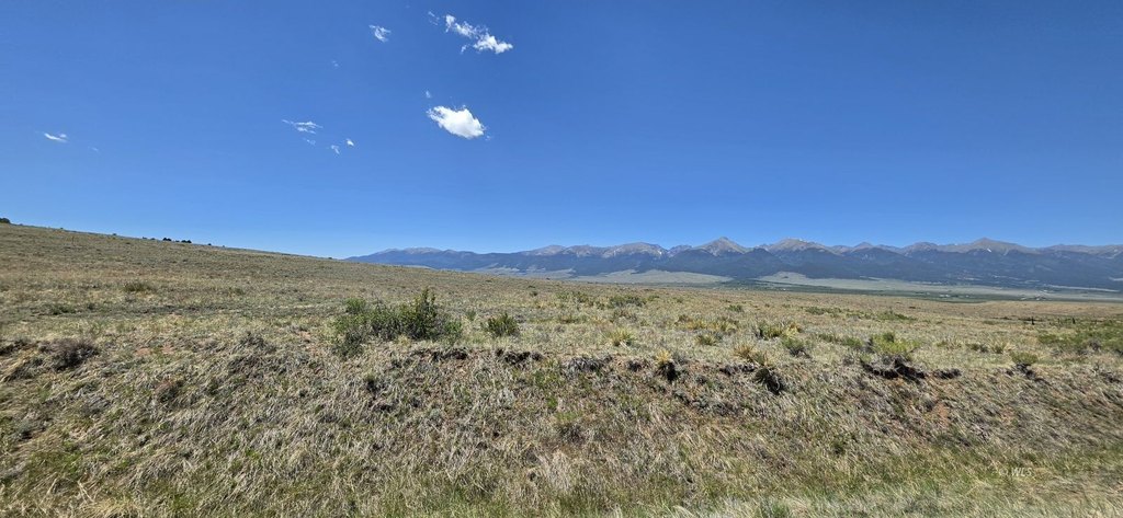 Picture 20
