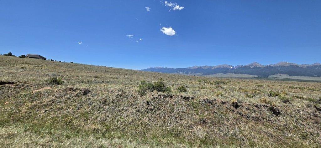 Picture 21