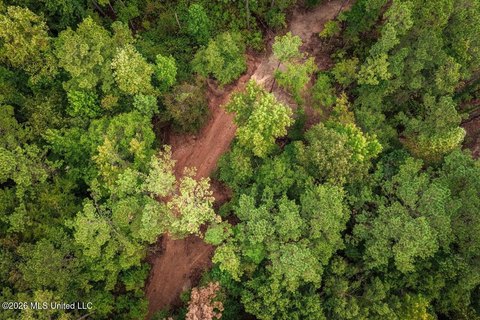 Hunting Land with Campsite