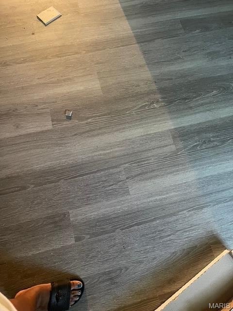 Picture 5