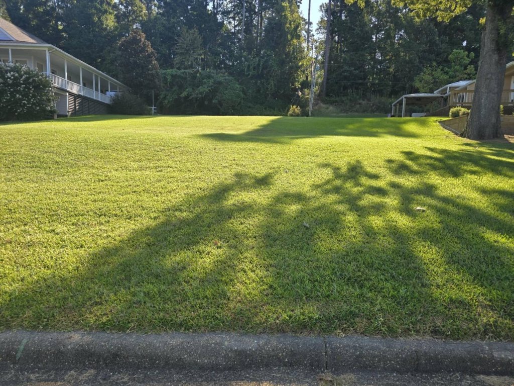Picture 2