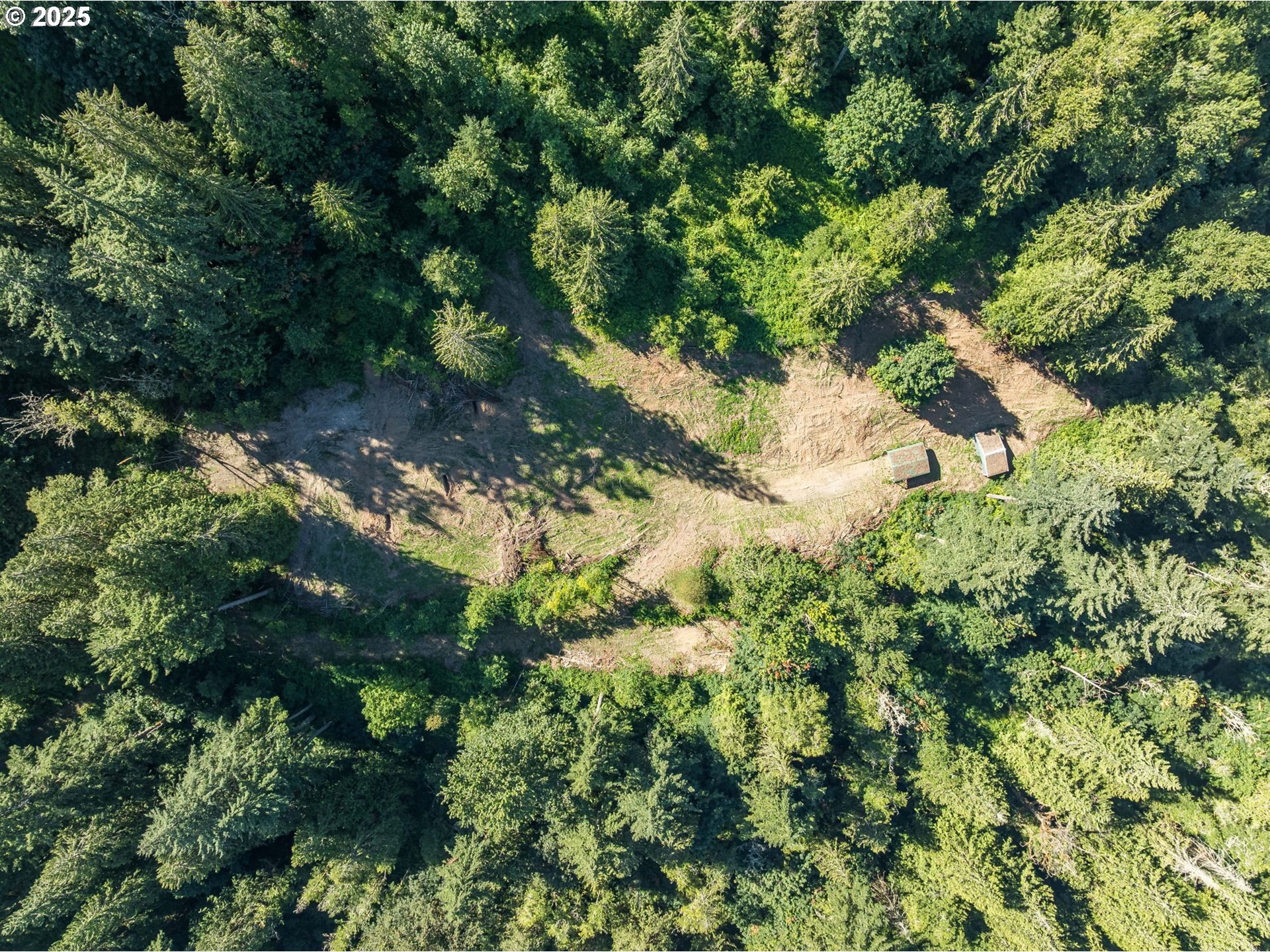 Serene 10-Acre Treed Land Parcel