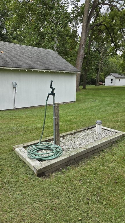 Picture 8