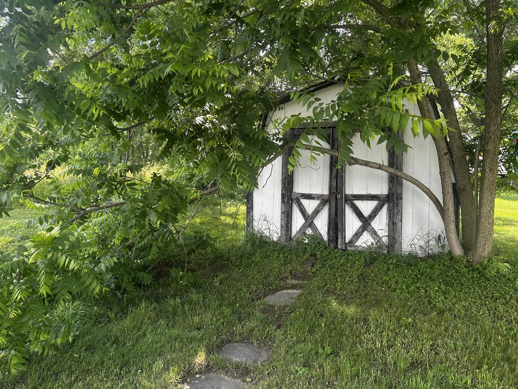 Picture 8
