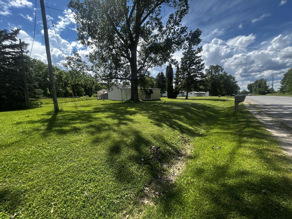 Picture 5