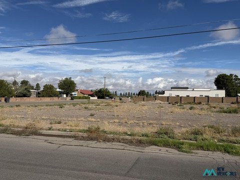 Land, Deming, NM