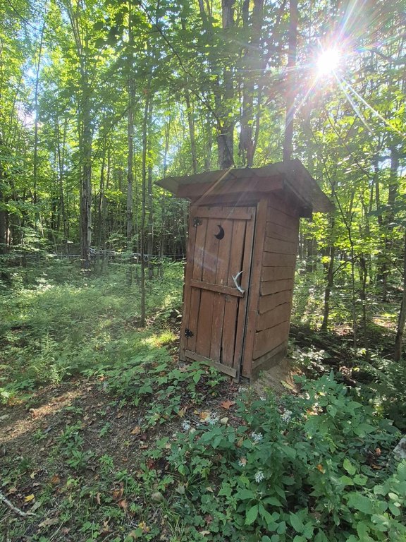 Picture 15