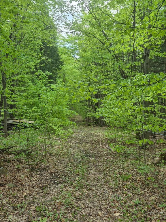 Picture 18