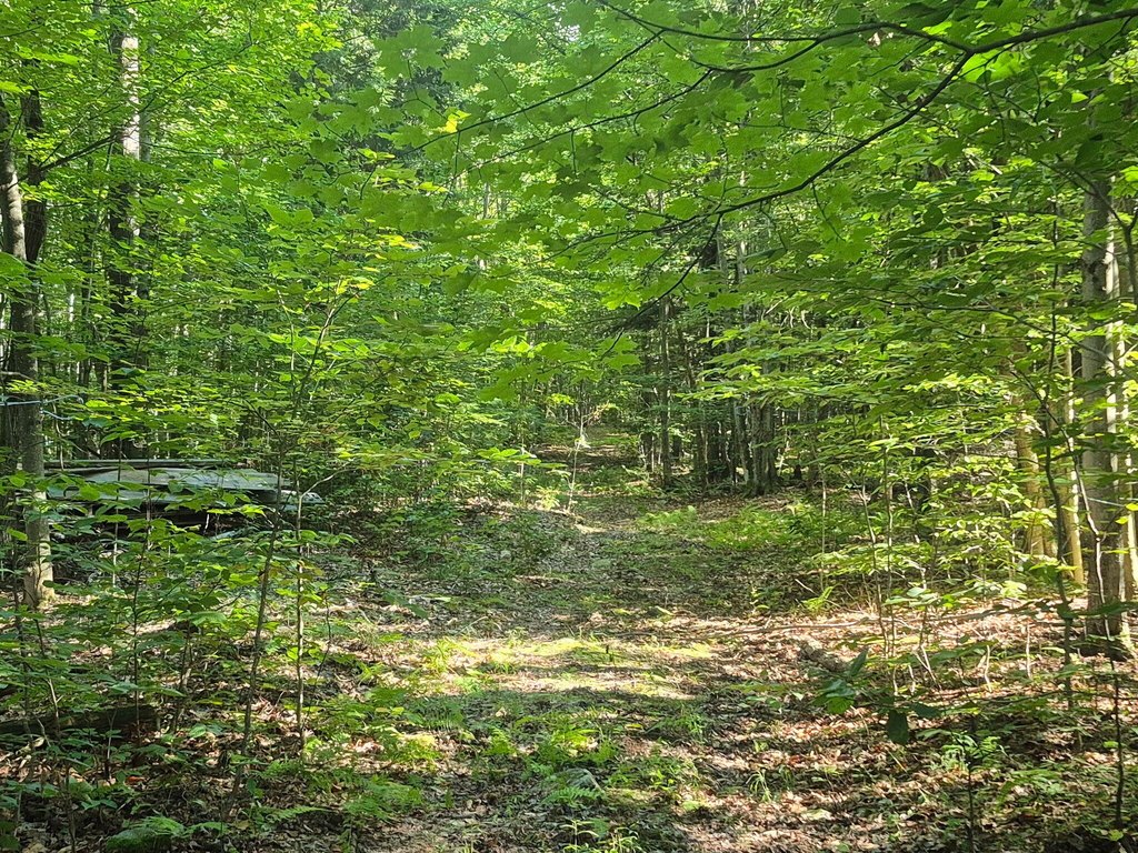 Picture 19