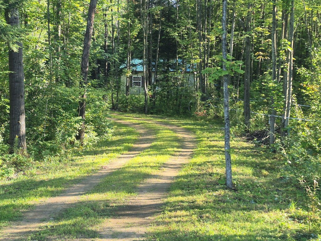 Picture 21