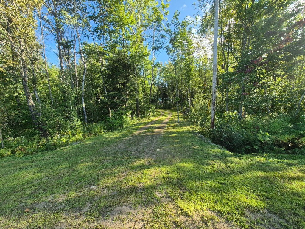 Picture 20