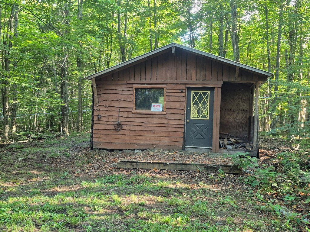 Picture 16