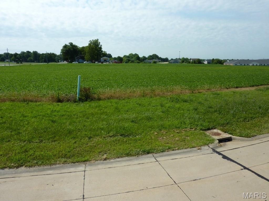 Picture 3