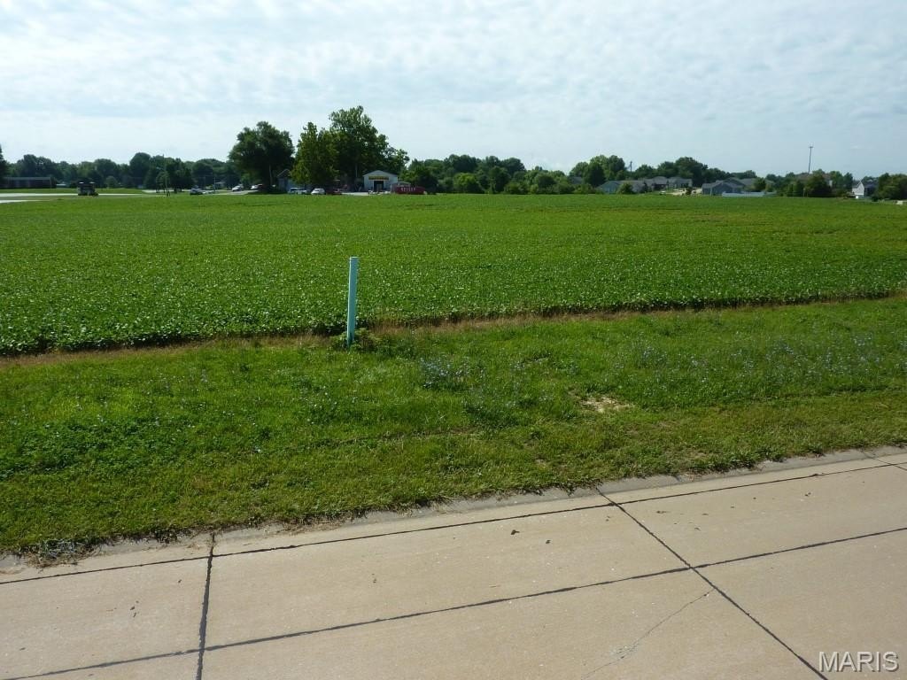 Waterloo, IL Commercial Lots