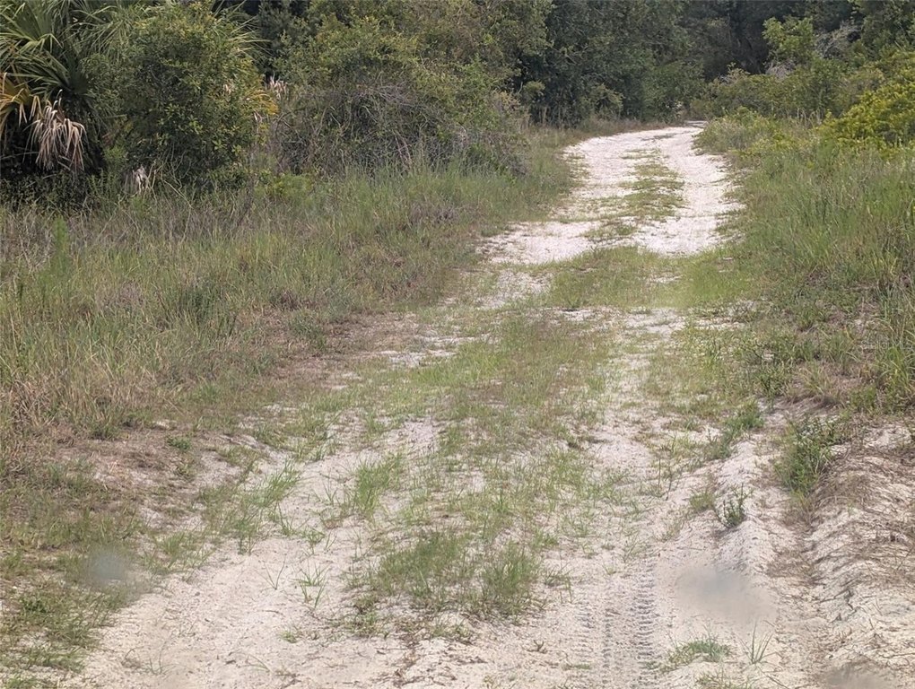 Picture 5