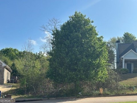 Land, Covington, GA