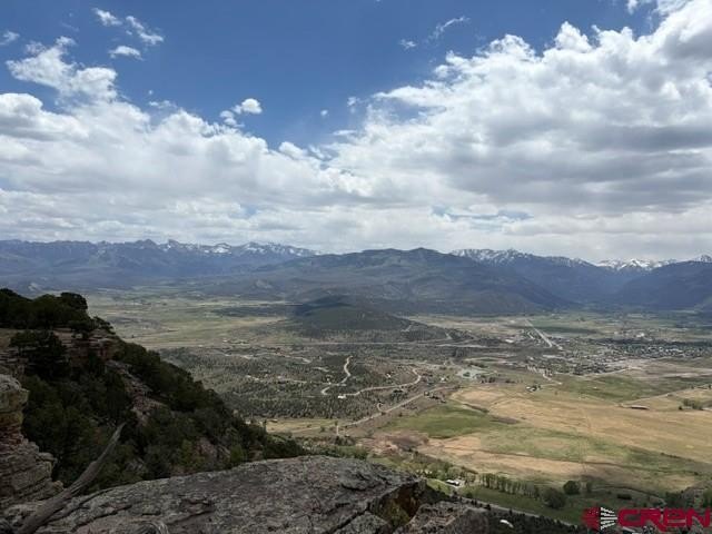 Picture 21