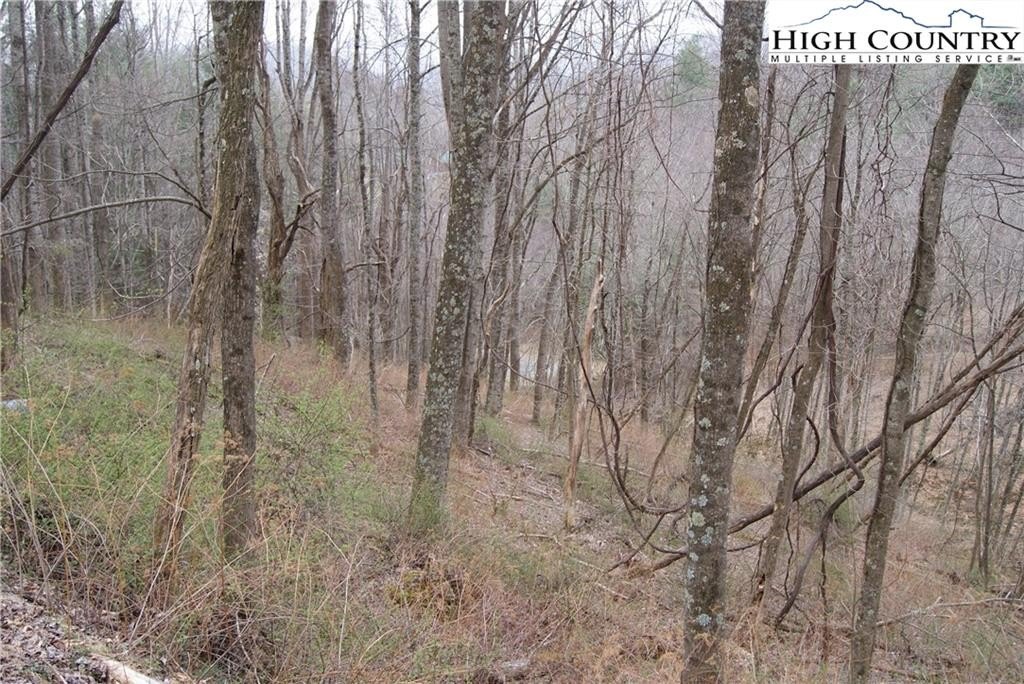 Wooded Land in Laurel Mountain Estates