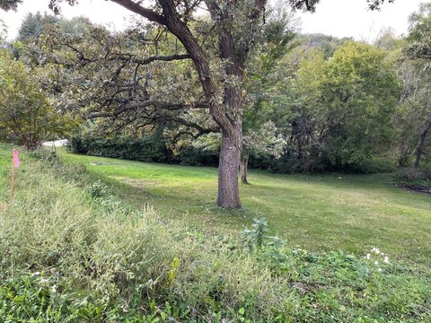 Land, Grinnell, IA