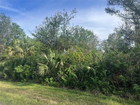 Residential Land in Port Charlotte