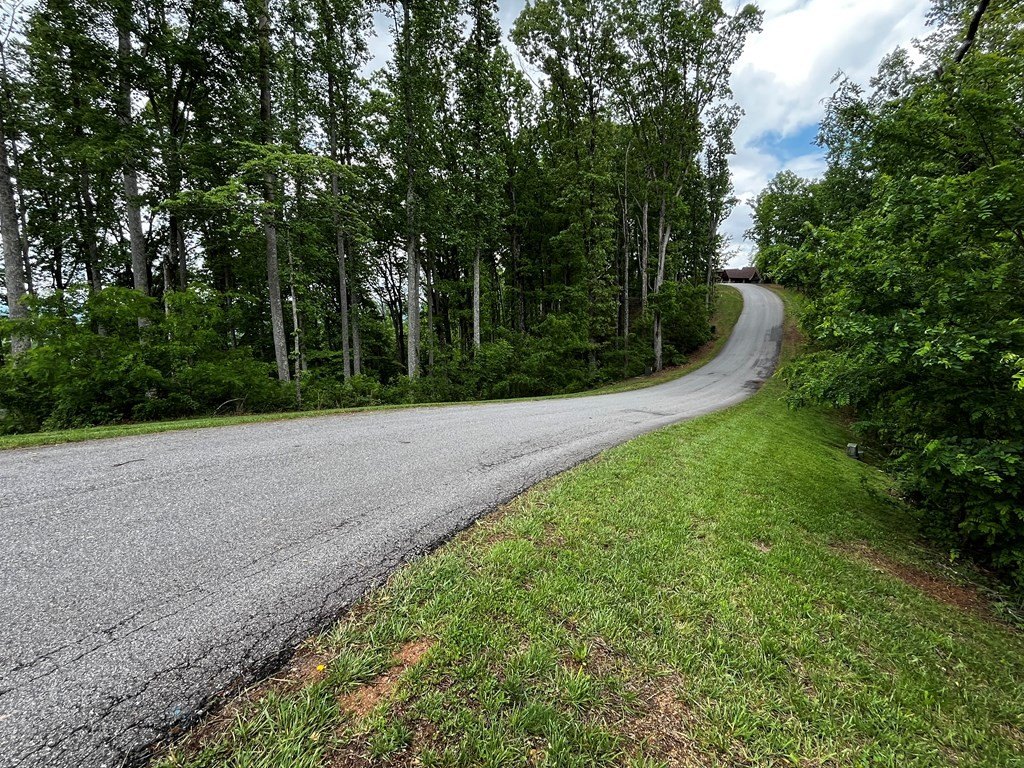 Picture 25