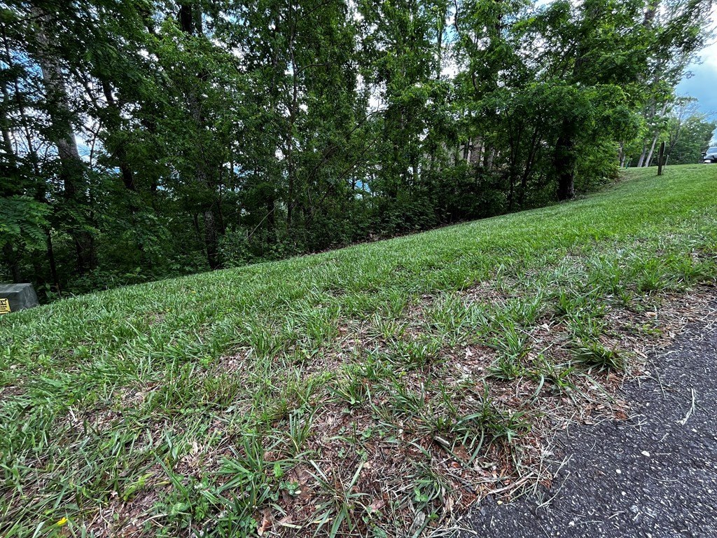 Picture 31