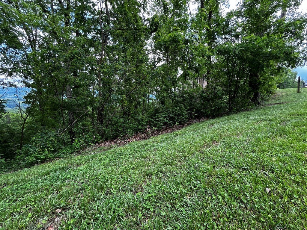 Picture 29