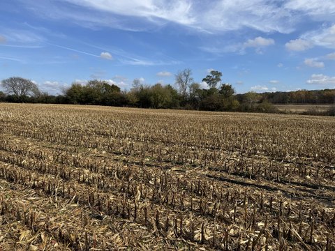 Residential Development Lot with Creek
