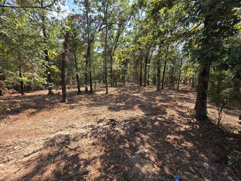Picture 6