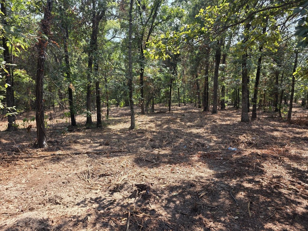 Picture 5